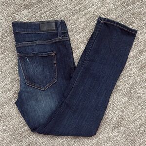 Express Dark Wash Denim Skinny Jeans